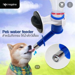 本周五采洽會(huì)來襲，泰國寵物衣架訂單引爆商機(jī)